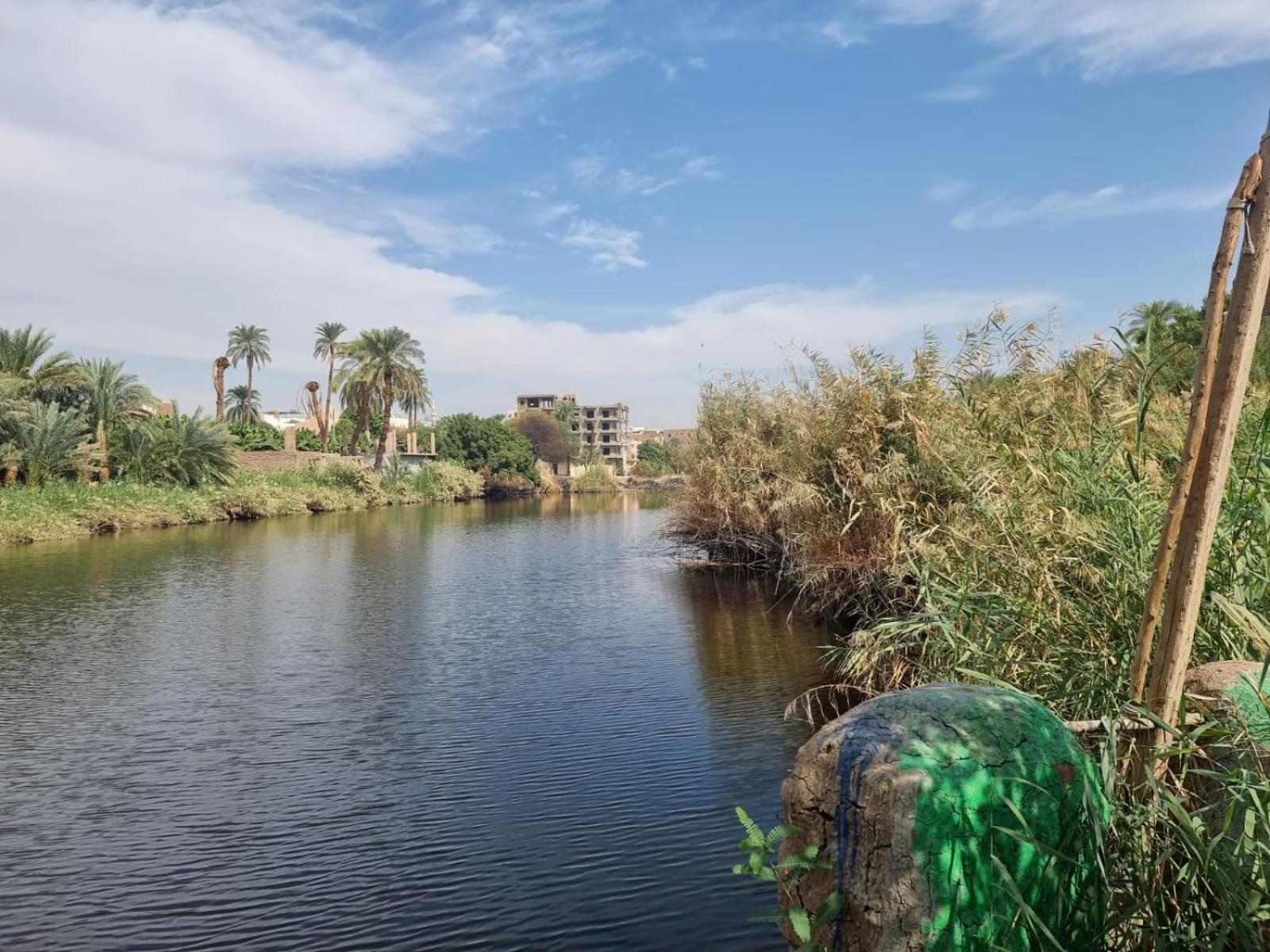 Luxor Old Nile Hotel Номер фото