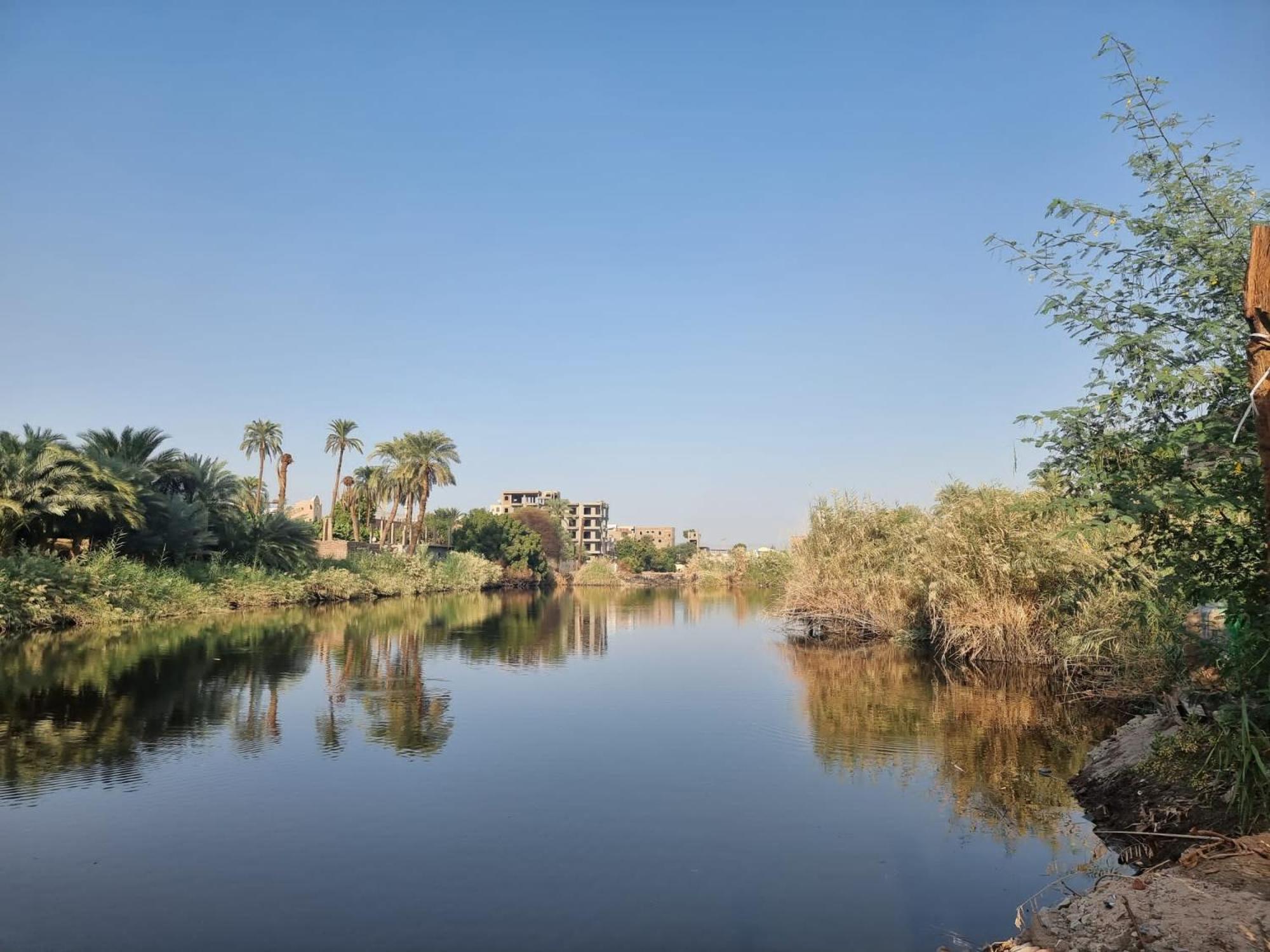 Luxor Old Nile Hotel Номер фото
